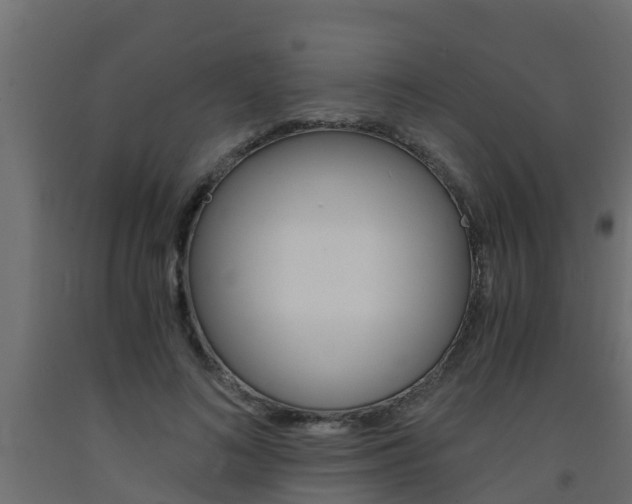 X0000093570692200710151017