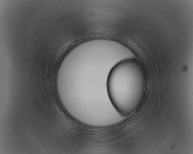 X0000093570693200710151017