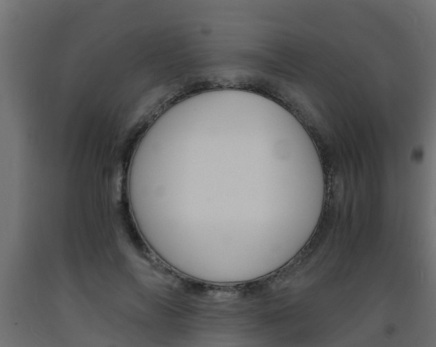 X0000093570694200710151017