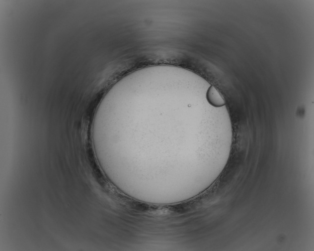 X0000093570695200710151017