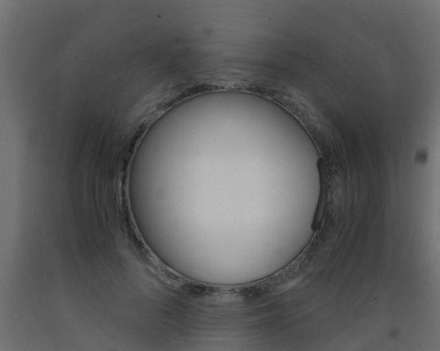 X0000093570696200710151016