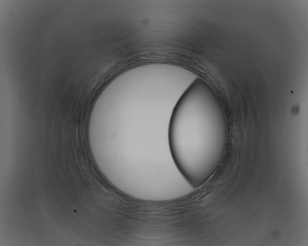 X0000093570697200710151016