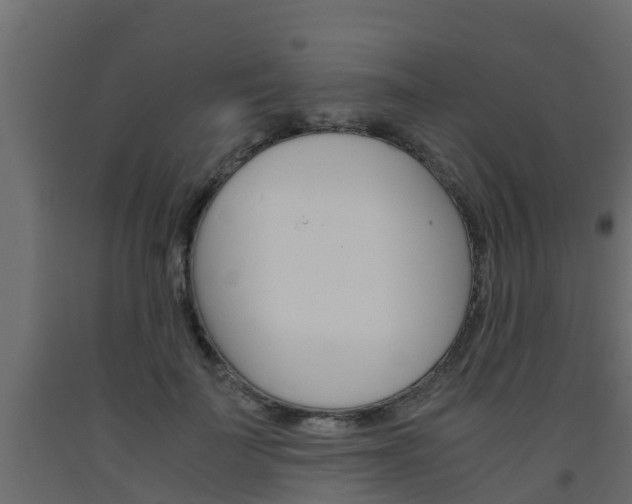 X0000093570699200710151016