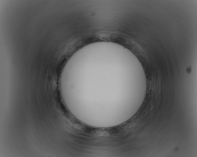 X0000093570702200710151016
