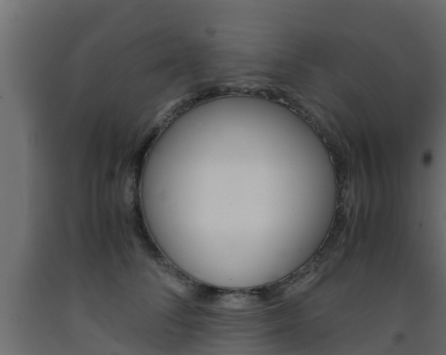 X0000093570708200710151016