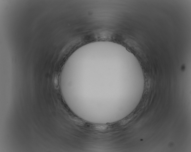 X0000093570709200710151016