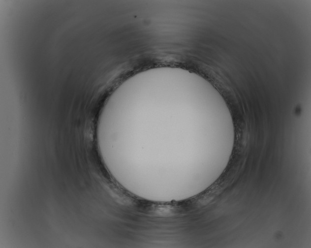 X0000093570710200710151016