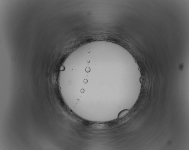 X0000093570711200710151016