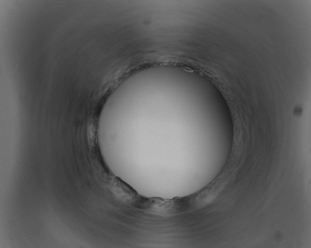 X0000093570720200710151016