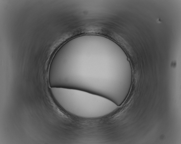 X0000093570721200710151016