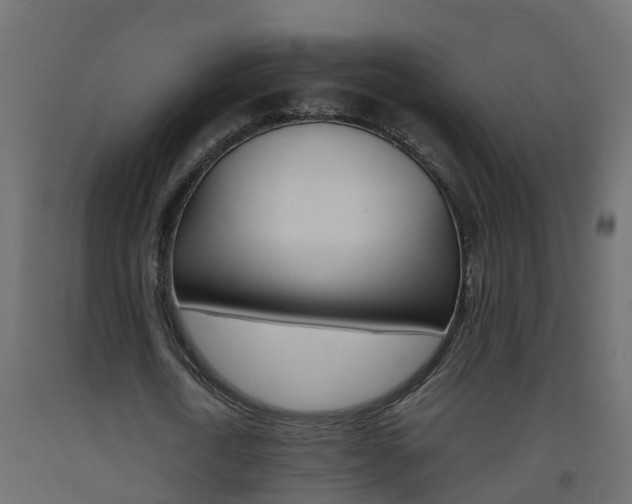X0000093570722200710151016