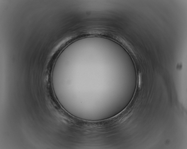 X0000093570723200710151016