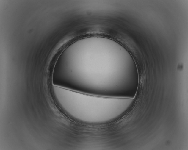 X0000093570724200710151016