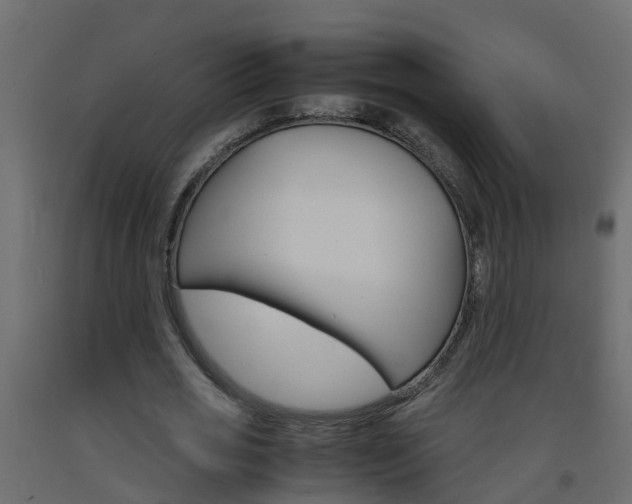 X0000093570725200710151016