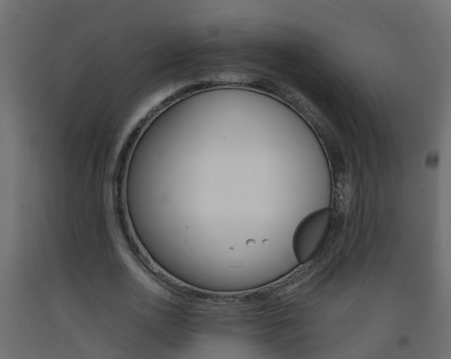 X0000093570726200710151016
