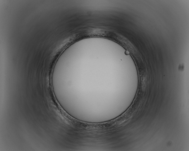 X0000093570729200710151016