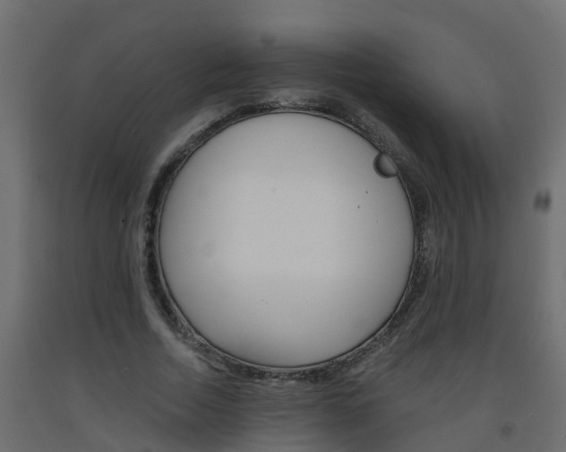 X0000093570730200710151016