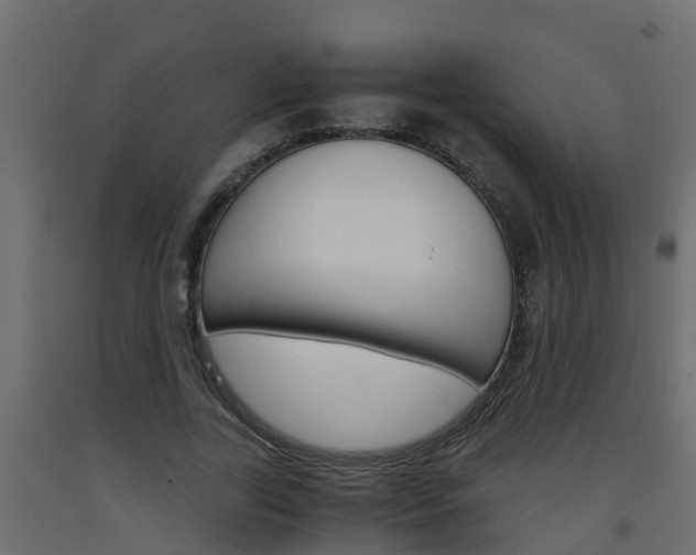 X0000093570731200710151016