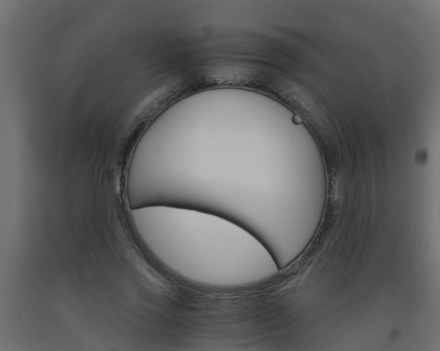 X0000093570733200710151016