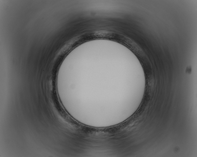 X0000093570734200710151016