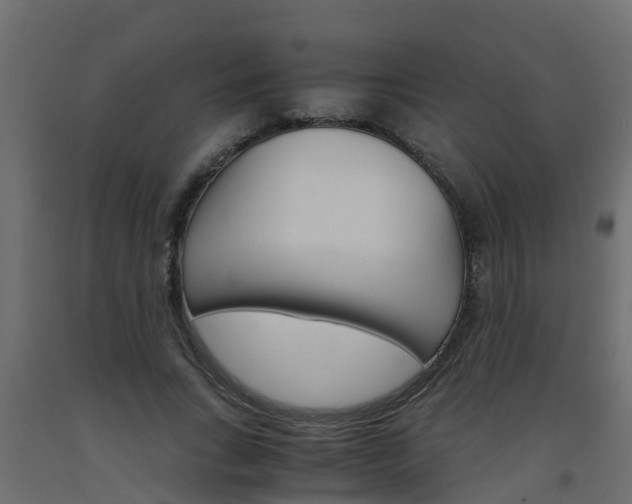 X0000093570735200710151016