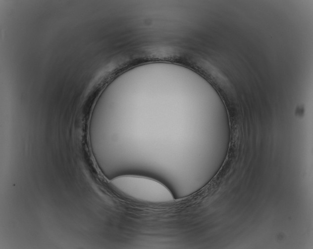 X0000093570736200710151016