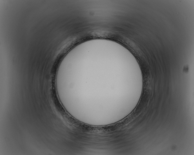 X0000093570738200710151016