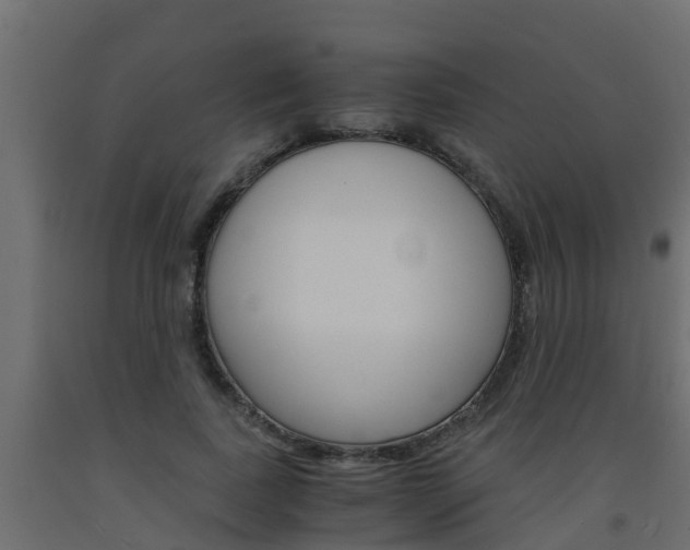 X0000093570739200710151016