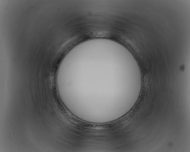 X0000093570741200710151016