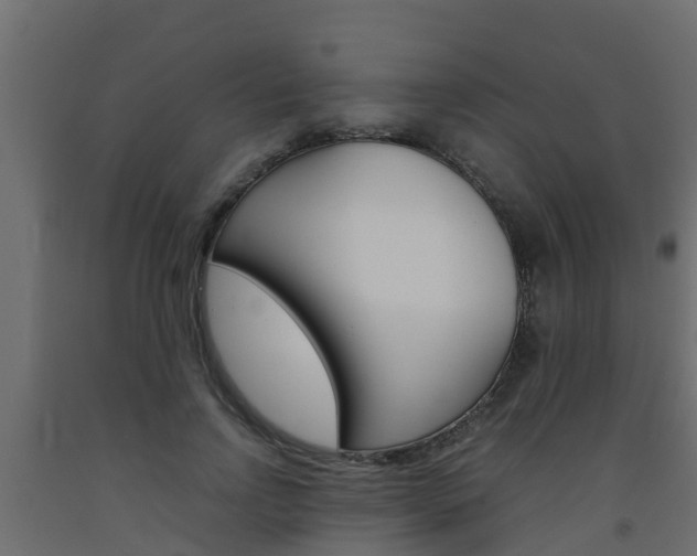 X0000093570742200710151016