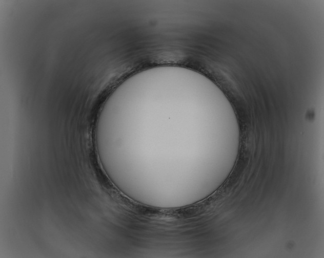 X0000093570743200710151016