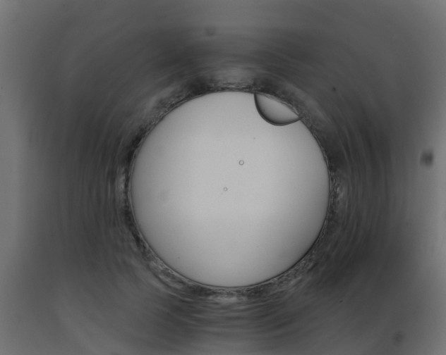 X0000093570745200710151016