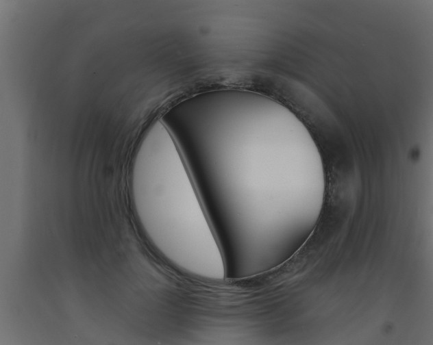 X0000093570748200710151016