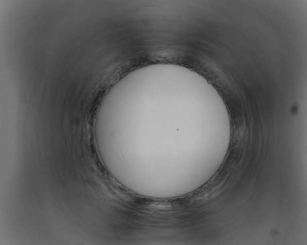X0000093570749200710151016