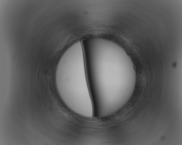X0000093570750200710151016