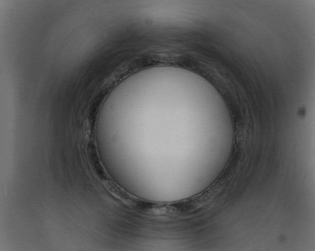 X0000093570752200710151016