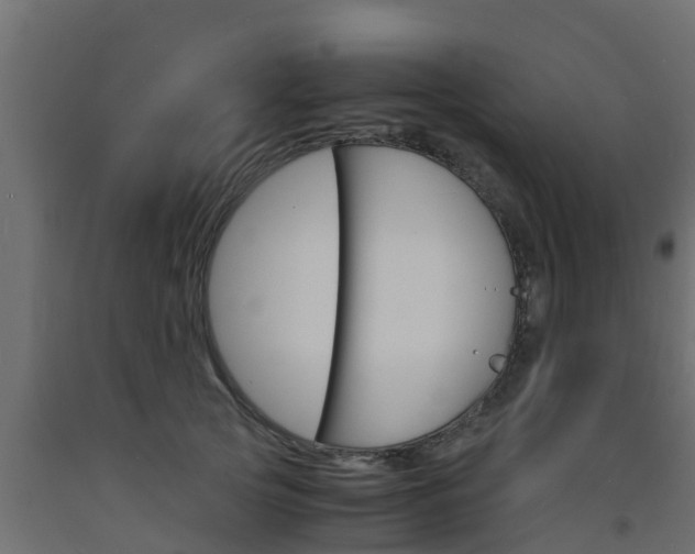 X0000093570753200710151016