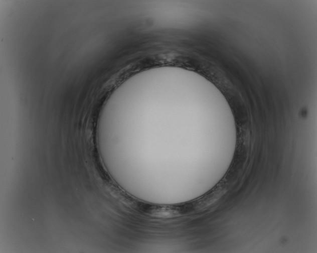 X0000093570754200710151016