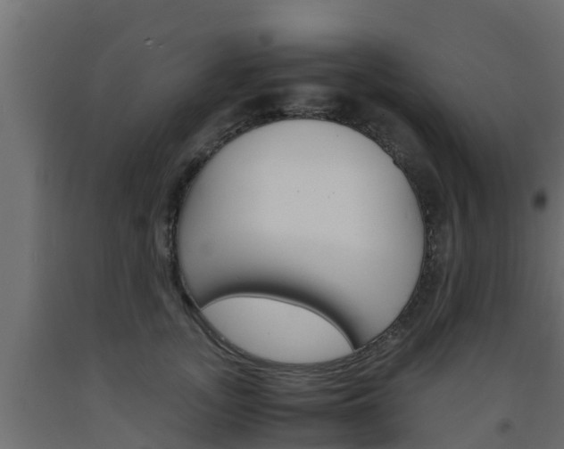 X0000093570755200710151016