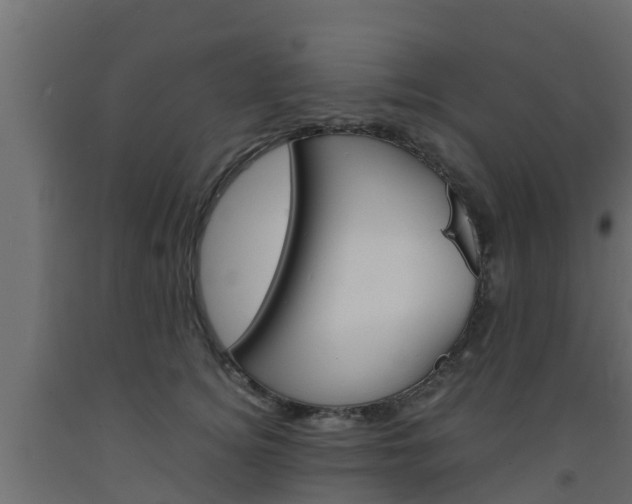X0000093570756200710151016