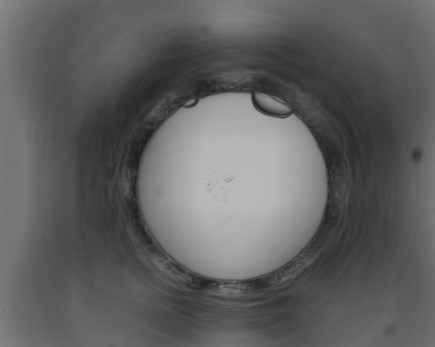 X0000093570758200710151016