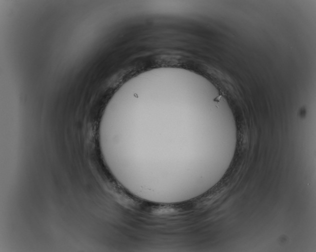 X0000093570759200710151016