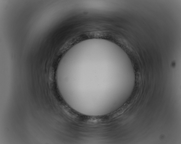 X0000093570760200710151016