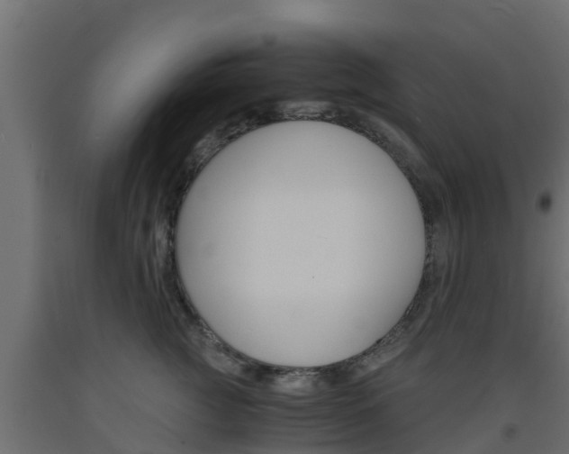 X0000093570761200710151016