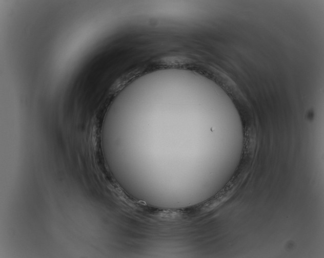 X0000093570762200710151016