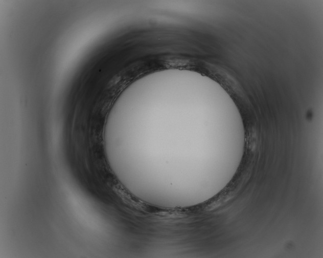 X0000093570763200710151016