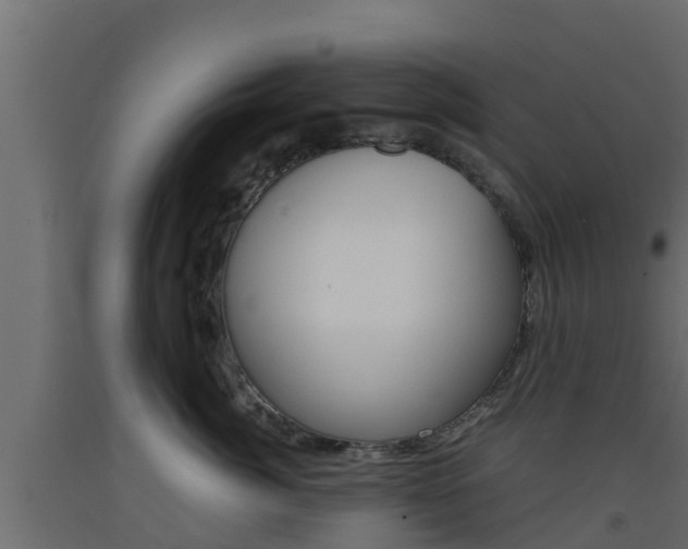 X0000093570764200710151016