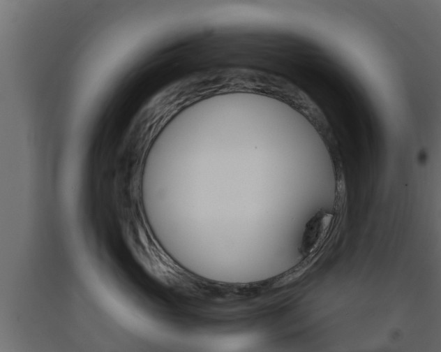 X0000093570765200710151016