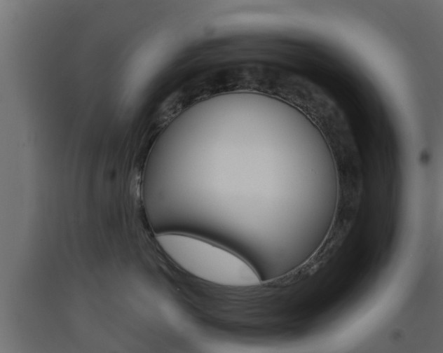 X0000093570766200710151016