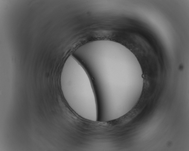 X0000093570767200710151016